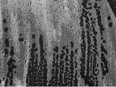 Targeting surfactants